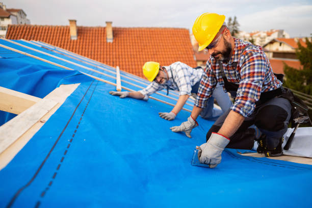 Fast & Reliable Emergency Roof Repairs in Manila, AR